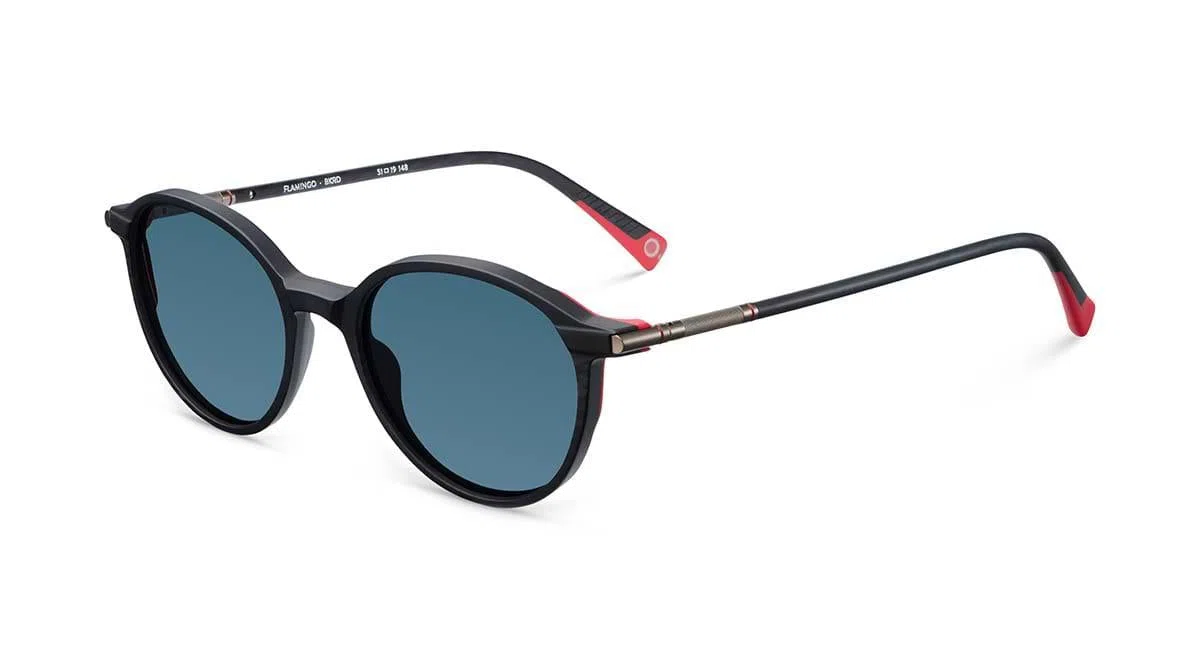 Etnia Barcelona FLAMINGO Sunglasses - view 4